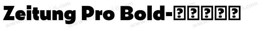 Zeitung Pro Bold字体转换